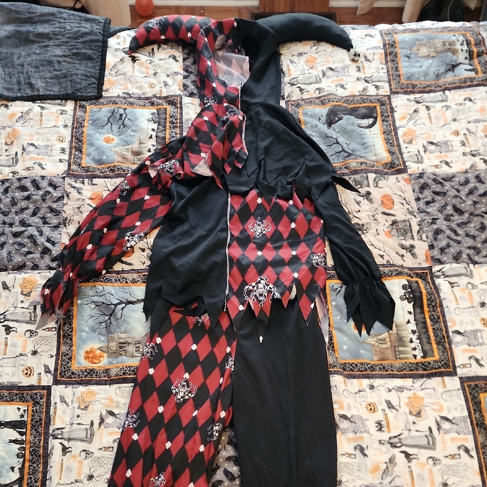 Kids Jester Costume - Red and Black